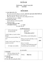 Bài soạn tuan 29+30