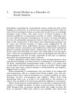 Social Phobia as a Disorder of Social Anxiety