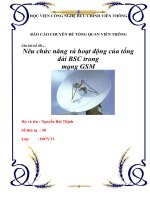 BÁO CÁO CHUYÊN ĐỀ TỔNG QUAN VIỄN THÔNG