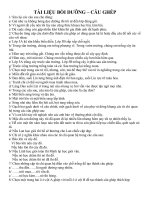 Bài giảng TÀI LIỆU BỒI DƯỠNG TIẾNG VIỆT 5