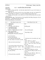 Gián án lop 5 tuan 19 sang