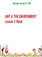 Bài soạn Unit 6: Read