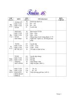 Tieng viet T 16 CKT l.1