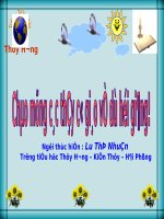 TOAN L3 -TUAN 16 -TIET 76: LUYEN TAP CHUNG