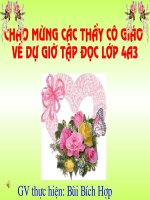 Bài soạn Tap doc  Sau rieng 3.ppt