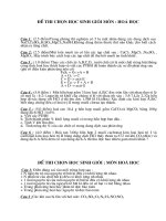 Gián án de thi HSG hoa hoc 9.doc