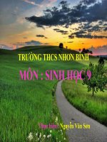 Công nghệ tế bào