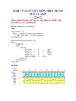 BÁO CÁO GIỮA KỲ MÔN THỰC HÀNH PLD VÀ ASIC