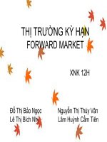 THỊ TRƯỜNG kỳ hạn FORWARD MARKET 