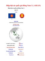 Gián án Mời các bạn xem tư liệu về ASEAN- Phục vụ dạy tiết 21- Hiệp hội các nước Đông Nam Á