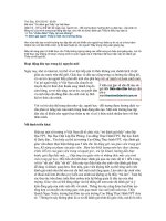 MO HINH TRO DANH THAY O VN