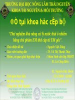 Thử nghiệm khả năng xử lý nước thải ô nhiễm bằng chế phẩm EM thứ cấp từ EM gốc