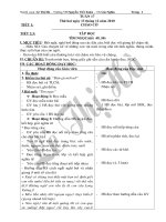 GIAO AN - LOP 2 -TUAN 17