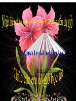 tiet 66 on tap van hoc tru tinh