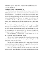 CƠ SỞ LÝ LUẬN VỀ KIỂM TOÁN BÁO CÁO TÀI CHÍNH CÁC DỰ ÁN