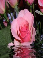 SU 9 -BAI 14 (theo chuan KT)