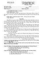 Tài liệu Kiểm tra định kì lần 4  TViệt  4+ Đáp án