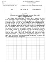 Gián án Đề thi viết chữ đẹp NH2010-2011