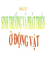 bai 37 lop 11 nang cao