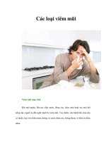 Các loại viêm mũi