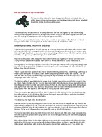 Đối mặt với hành vi trục lợi bảo hiểm