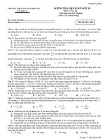 Bài soạn DE ON TAP