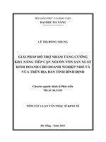 Giải pháp hỗ trợ nhằm tăng cường khả năng tiếp cận nguồn vốn sản xuất kinh doanh cho doanh nghiệp nhỏ và vừa trên địa bàn tỉnh bình định 