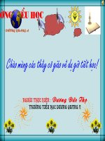 LT&C Đồ chơi - trò chơi