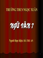 tiết 64. ôn tập tiếng việt
