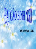 tác giả nguyễn trãi