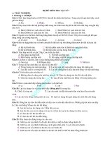 BỘ ĐỀ KIỂM TRA VẬT LÍ 6 CẢ  NĂM