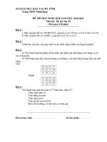 Bài soạn HsG tin 10 Thpt mjh khaj