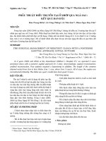 Phẫu thuật điều trị tồn tại ổ nhớp qua ngả sau: kết quả ban đầu