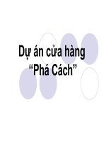 Dự án cửa hàng phá cách 