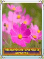 giao an- Tong ket tu vung -Giao an thi gvg