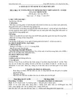 Bài soạn giáo án 11 chưa đủ (TTTT)