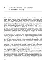 Social Phobia as a Consequence of Individual History