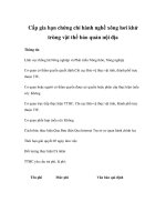 Cấp gia hạn chứng chỉ hành nghề xông hơi khử trùng vật thể bảo quản nội địa