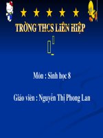 Bài giảng tiết 13. Máu và môi truong trong cơ thể