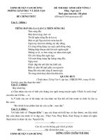 Đề + Đáp án HSG Ngữ Văn lớp 9 Huyện Tam Dương