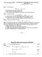 Bài giảng Đề thi KSCL kỳ I ( năm học 2010-2011)