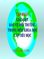 Gián án Chuyên đề GDBVMT Qua môn KHOA HỌC