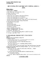 DE CUONG ON THI HK I-ANH1 (10-11)