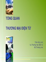 Tổng quan về thương mại điện tử 
