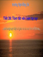 t39: tom tat vb tu su