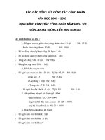 BAO CAO CONG DOAN