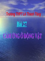 Bài giảng cảm ứng ở động vật (t2)