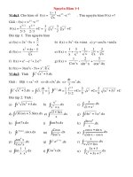 Bài giảng Nguyen ham 1-1