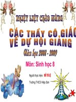 Gián án Tiết 38- Sinh 8