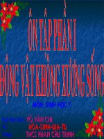 TIẾT 34/ÔN TẬP HỌC KỲ I(TUYỆT VỜI)